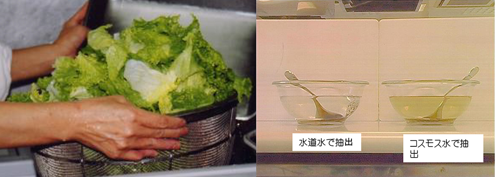 コスモ水使用後