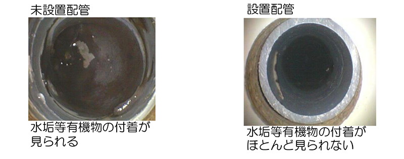 コスモ水使用後